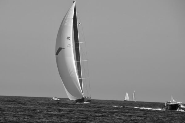 www.maxmalka.com