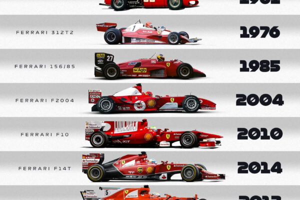 FB_IMG_1769236653768