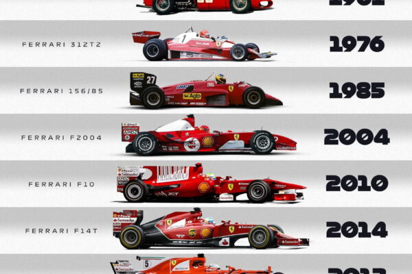 FB_IMG_1769236653768